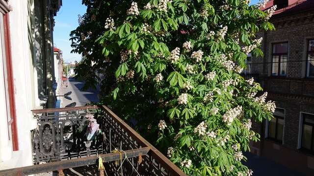 Апартаменты Apartament on Kirova Гродно-19